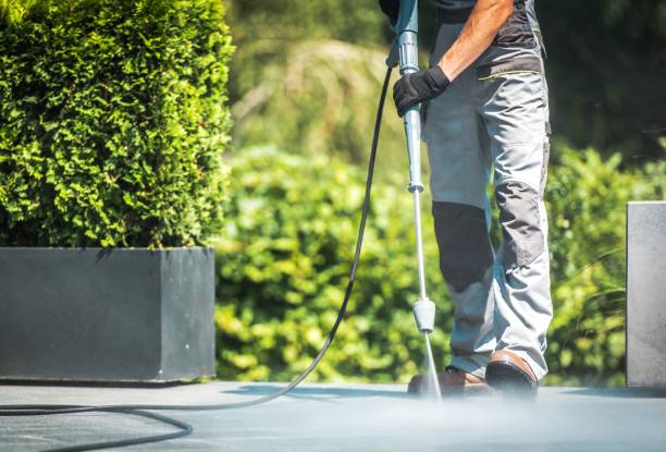 Best Solar Panel Cleaning  in Algonquin, IL